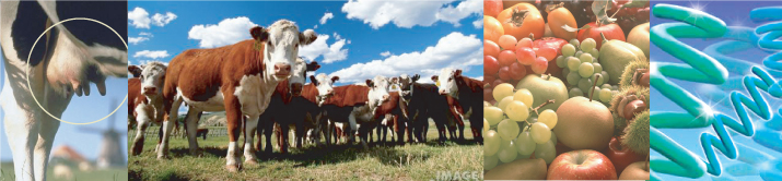 INS High Calcium Bio Colostrum
