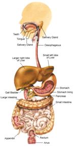So Easy Slim Care Nutri - Scheme