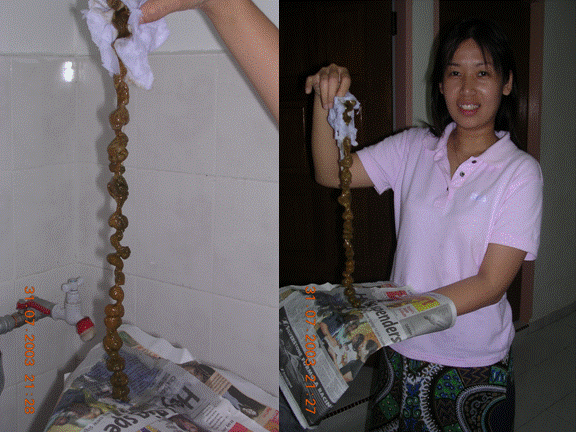 So Easy Slim Care Nutri - Scheme